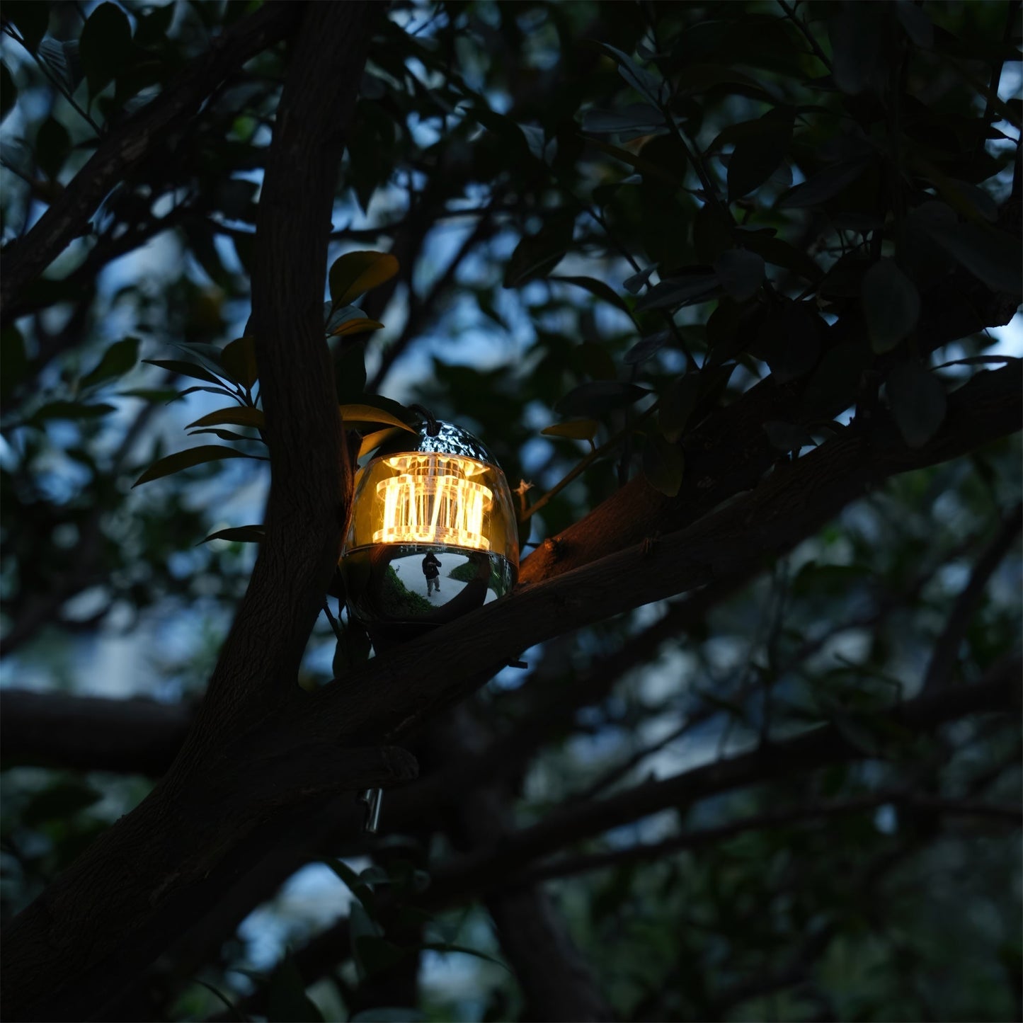 Draagbare Tafellamp met Eivormig Ontwerp en Oplaadbare LED