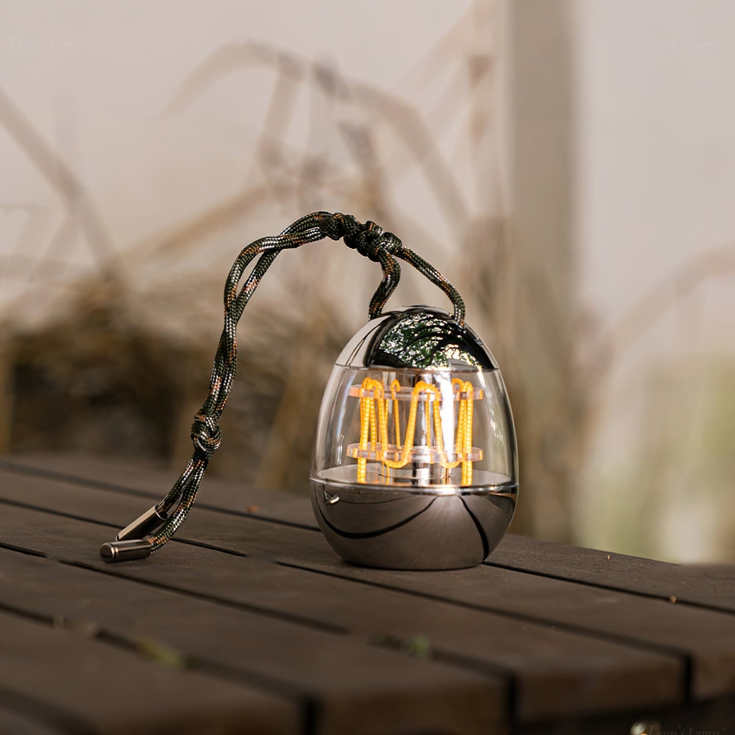 Draagbare Tafellamp met Eivormig Ontwerp en Oplaadbare LED
